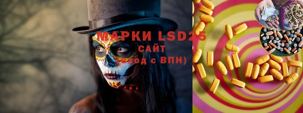 тгк Болотное