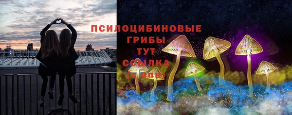 меф VHQ Дмитриев